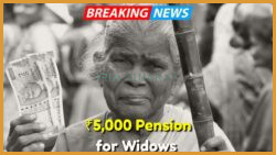 Widow Pension 2025: Discover How to Apply for the ₹5,000 Monthly Government Support