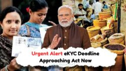 Big Government Move: One Mistake Could Cancel Your Ration Card – Complete eKYC Now