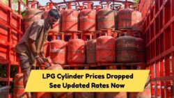 LPG Gets Cheaper Again – See Today’s Domestic Cylinder Price and Savings